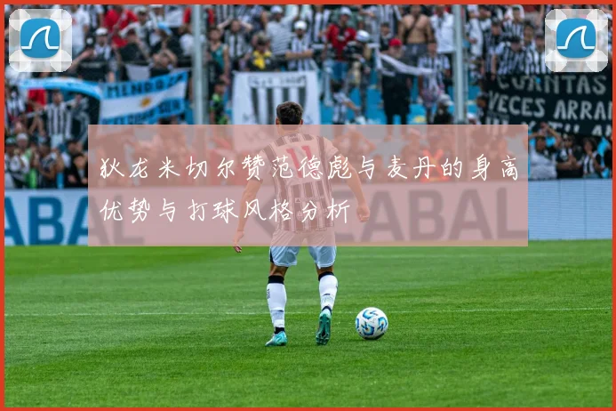 狄龙米切尔赞范德彪与麦丹的身高优势与打球风格分析