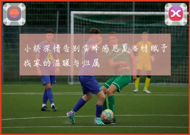 小桥深情告别黄蜂感恩夏洛特赋予我家的温暖与归属