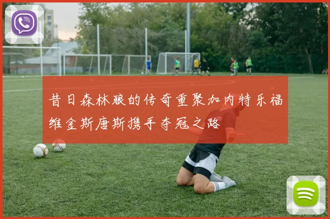 昔日森林狼的传奇重聚加内特乐福维金斯唐斯携手夺冠之路